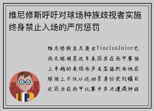 维尼修斯呼吁对球场种族歧视者实施终身禁止入场的严厉惩罚 维尼修斯呼吁对球场种族歧视者实施终身禁止入场的严厉惩罚